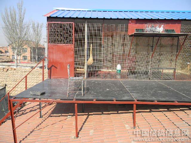 �߷��ݶ�������(ͼ)