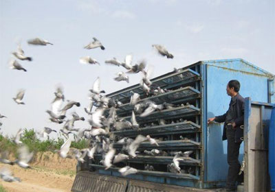 ����Ԥ����ǧ�����ս���193��(ͼ)