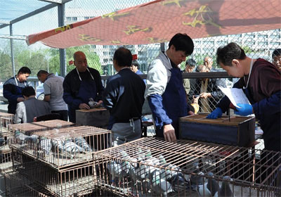 ������1000�����̨�������ֳ�����