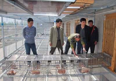 ��������֡��и�Э�Լ���������г��