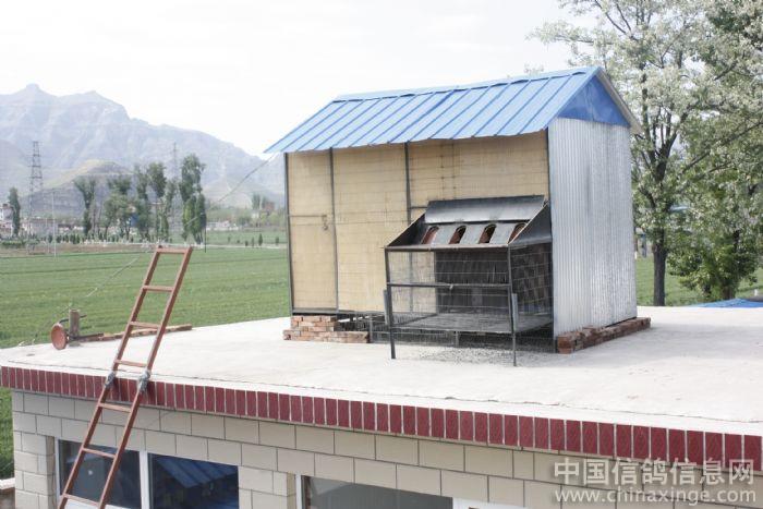 90�����ʵ�á�ª�ᡱ(ͼ)