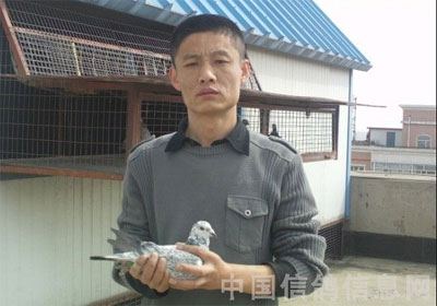 �����������������񽱸���(ͼ)