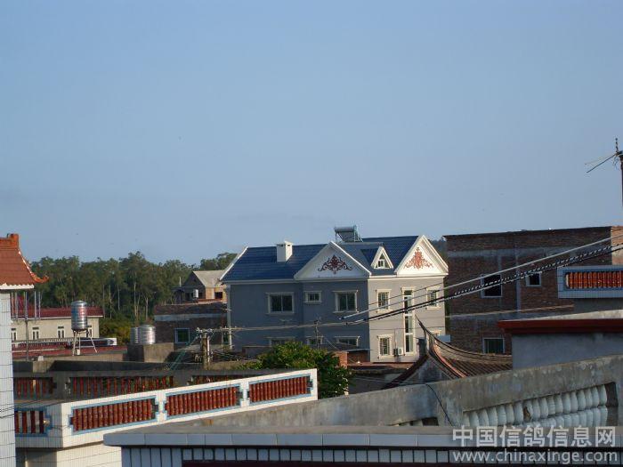 ũ���������ӽ�(ͼ)