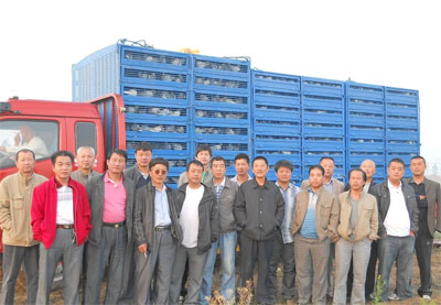 ����˳����4780��������й鳲(ͼ)