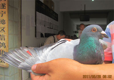 ������ͷ��ظ�������(ͼ)