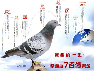 ̨�������ҵ���߰���(ͼ)