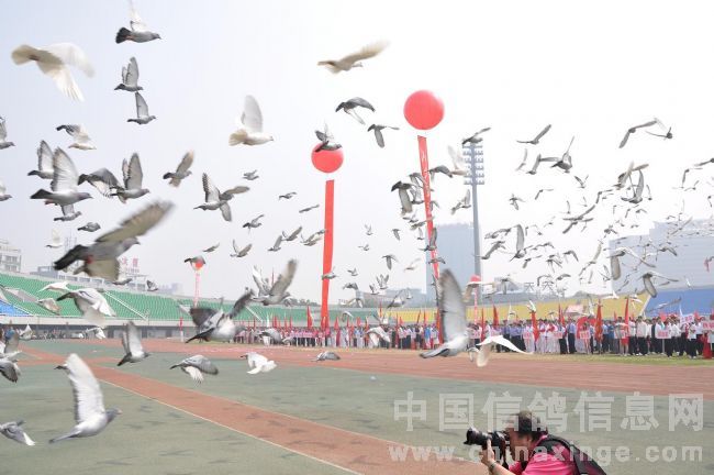 ������̨ȫ�����ڿ�Ļ 2011��ʸ�����(ͼ)