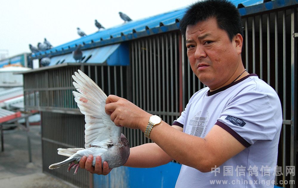 ǧ���������ҵĸ�����ǹ��(ͼ)