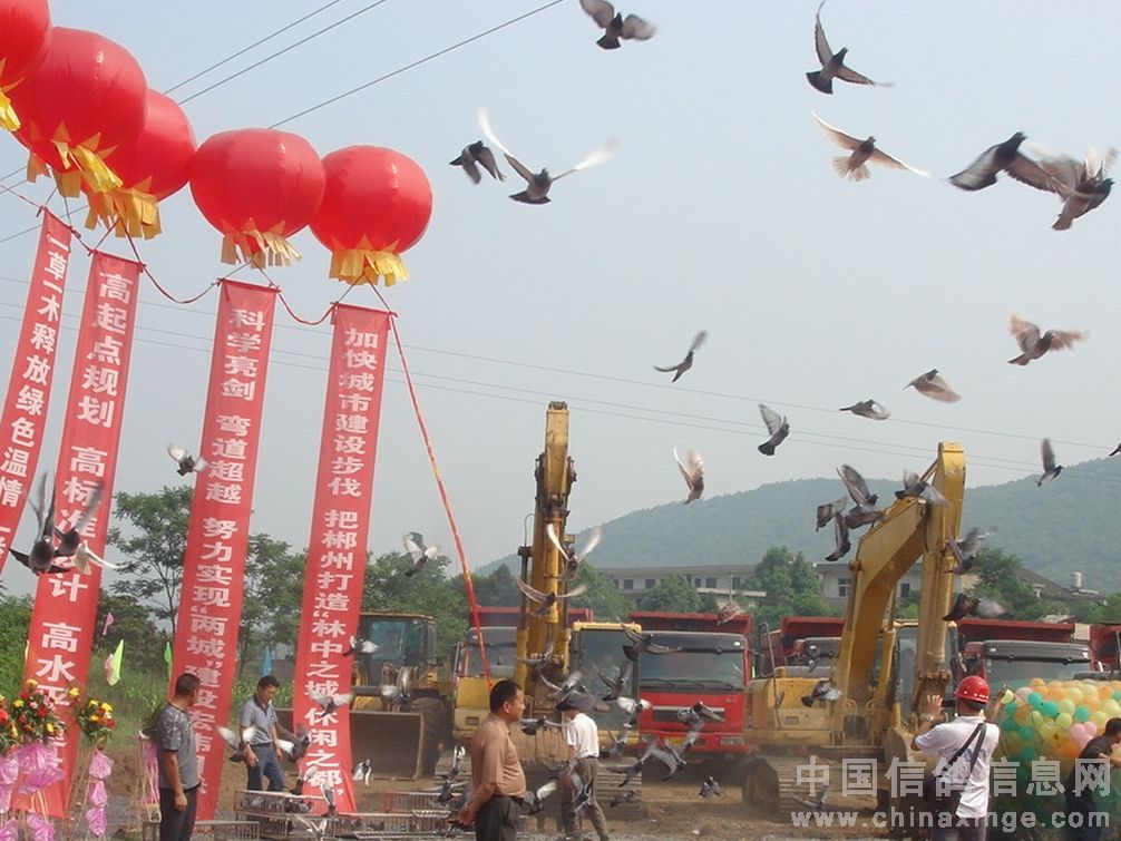 ���ݻ��Ŀ�������ŷ�(ͼ)