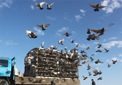 ���ǹ���鳲142�� ʣ�ཱ�����(ͼ)