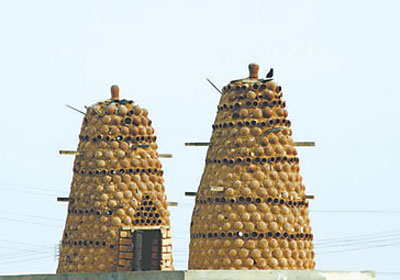 ������ɫ�ı��Ǹ���(ͼ)