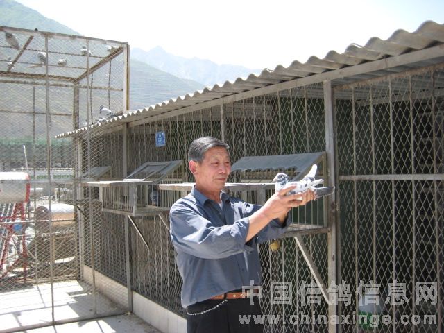 ����ҽ�β�����Բ�� д�������������㻳(ͼ)