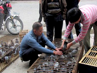 �����Э700���Ｏ���80�� �շŲ���(ͼ)