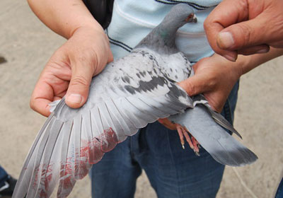 ���Ű��˳���ǿ���� һ�˶�ȡ����(ͼ)