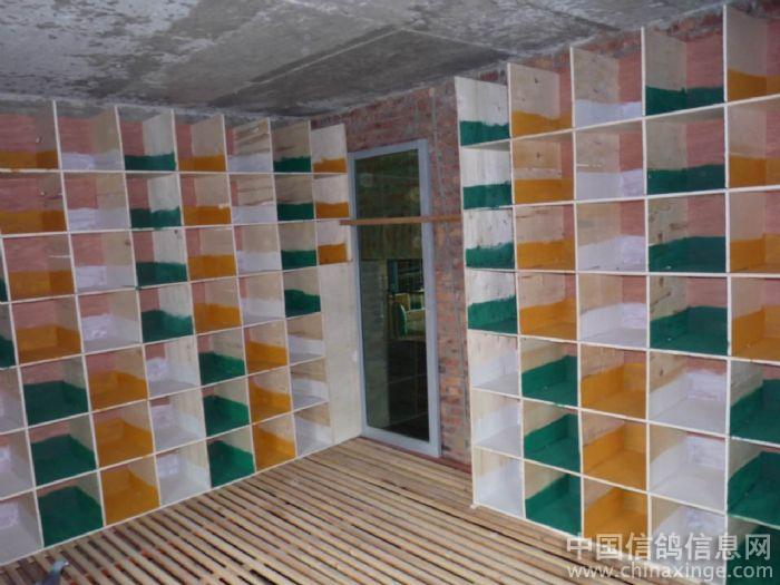 �½��ĸ�����(ͼ)