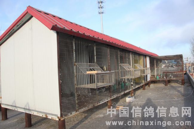 ������¡ʢ�����(ͼ)