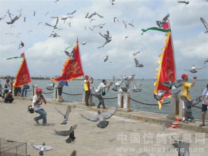 �㶫տ�����ʺ�����������Ļʽ�Ųʸ�(ͼ)