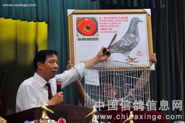 Ⱥ����¹ս��� 30��߼�������