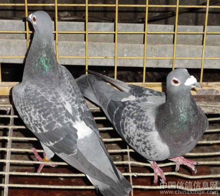 һ��������(ͼ)