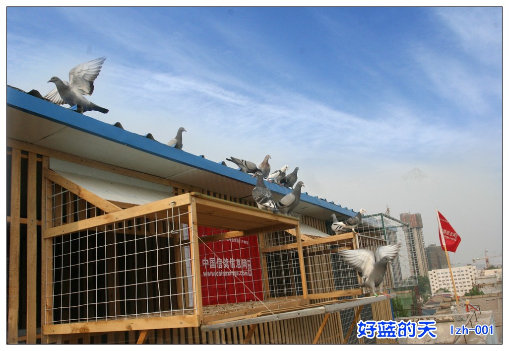 ����ƮƮӳ����(ͼ)