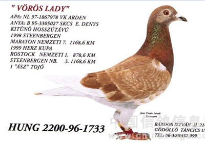 ���ʸ�������ϯ���˹(ͼ)