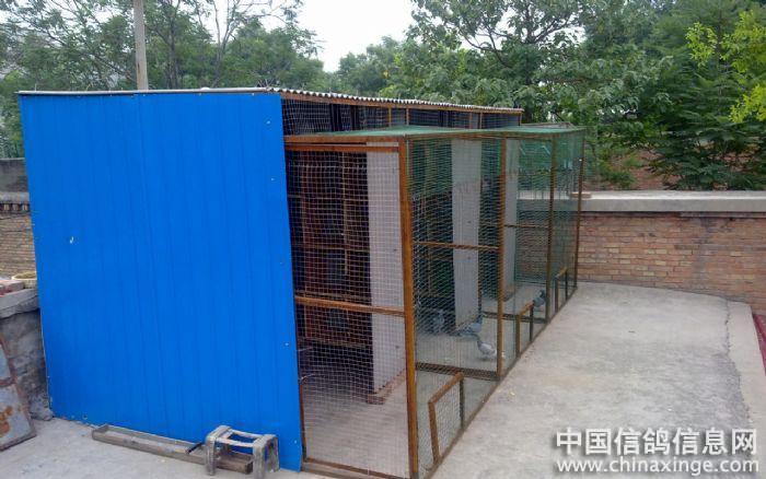 90��ǧ��Ԫ����ª��(ͼ)