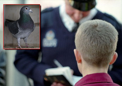 �����ӡ�������������������