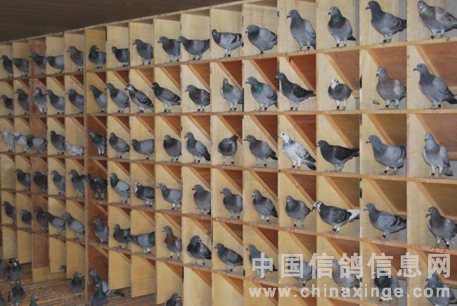 ����Э�����Ҽ�������������(ͼ)