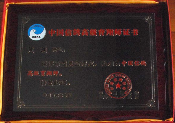 �߼�����ʦ����������֤��(ͼ)