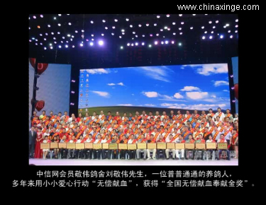 ��Ƶ�����Ѻ��˺���