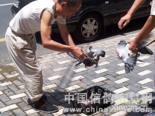 �Ϻ��󻧸��ѵ�����ɱ������̭��(ͼ)