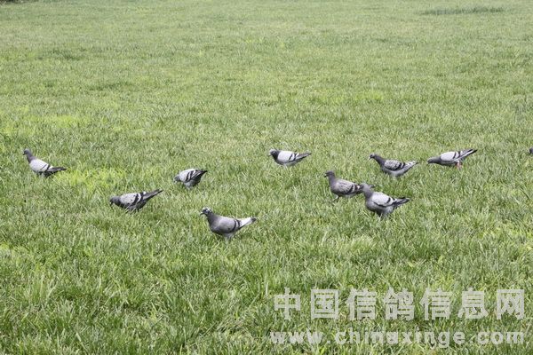 ����֮�����������е�����(ͼ)