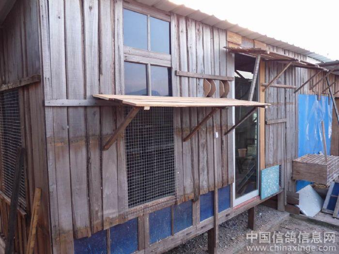 �����ˡ���ŷʽ����(ͼ)