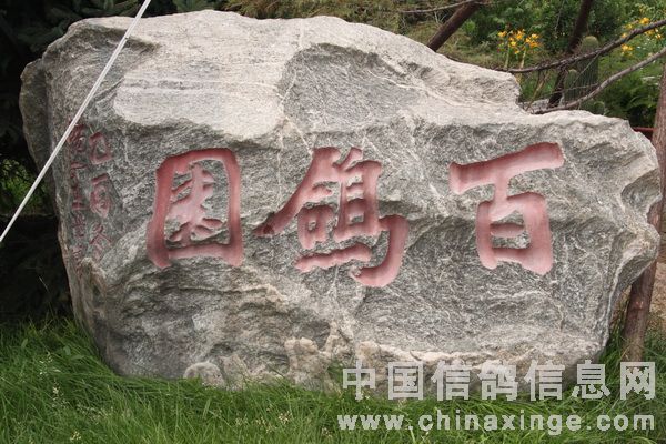 �����ٸ�԰���������续(ͼ)