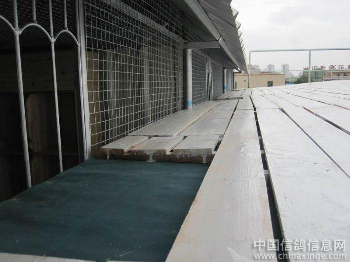 ������������(ͼ)