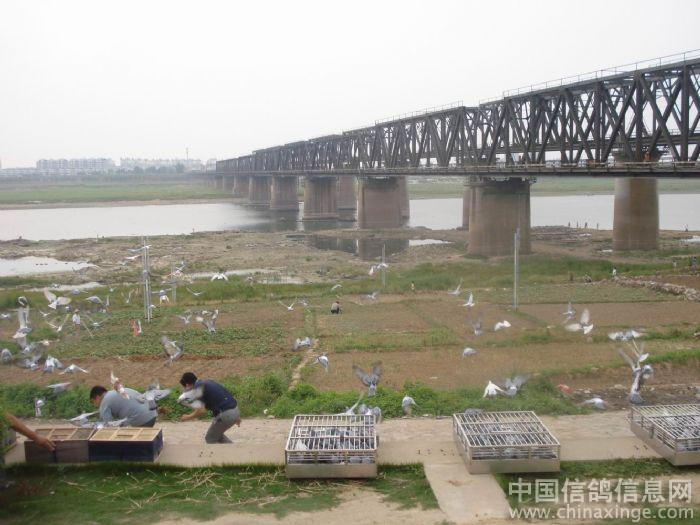 ���껴�������Ϸ��Ÿ�(ͼ)