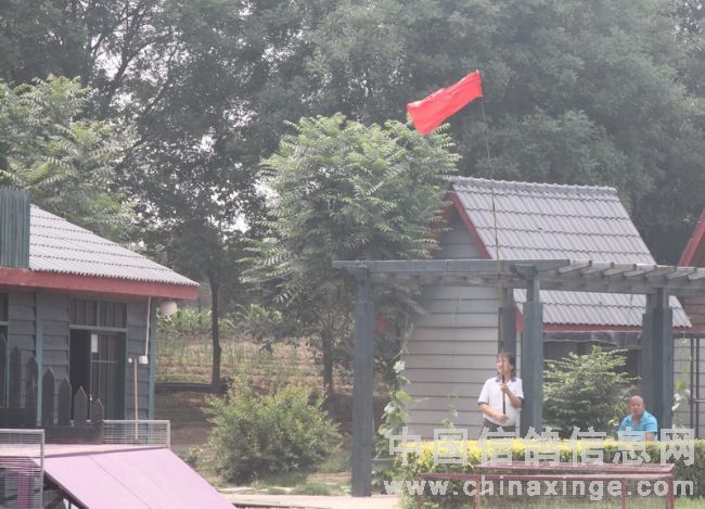 ������ִ���µ��׸�(ͼ)