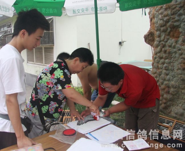 ��̨3000Ԫ�ر�����һ��(ͼ)