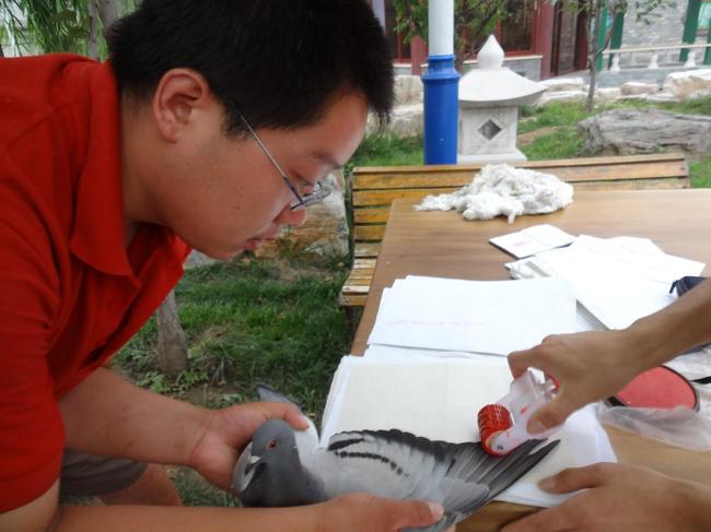 ��̨3000Ԫ�ر�����(ͼ)