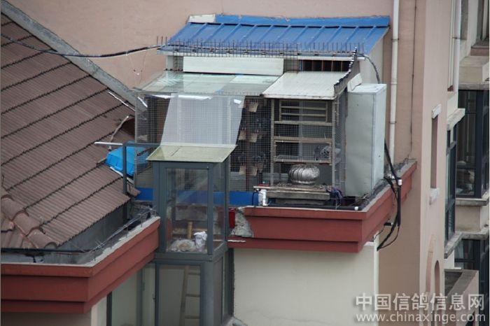 �������������һ����(ͼ)