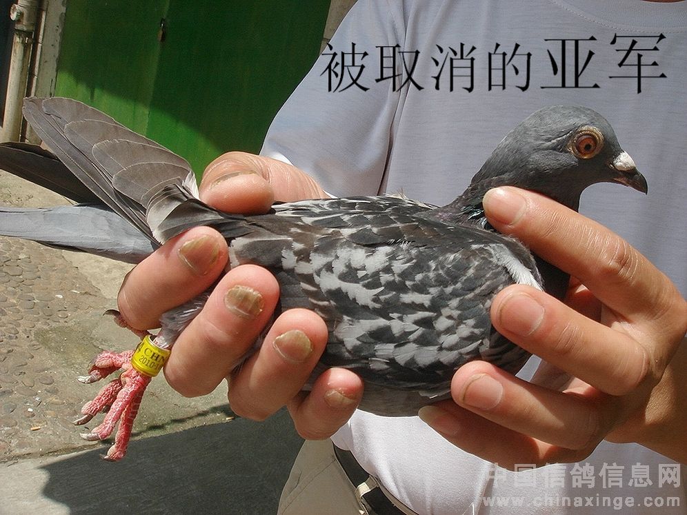 ��ȡ�����Ǿ�(ͼ)