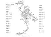 ������ۺ�Ĵ����취
