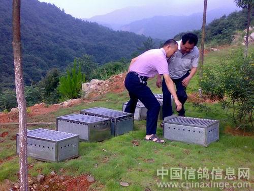 ������Ȼ������ѵ�Ÿ�(ͼ)