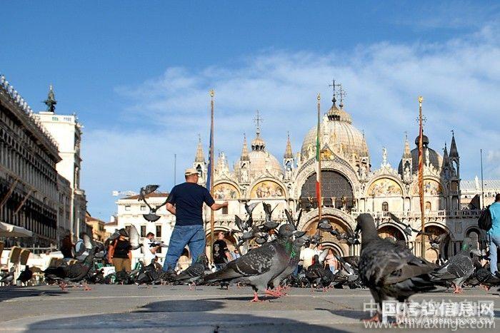 ����˹��빲��(ͼ)