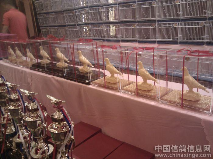 ��ʮ�߽������׸����佱���(ͼ)