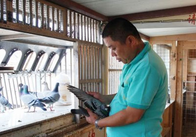 ��Ƶ������С�Ϻ�����������