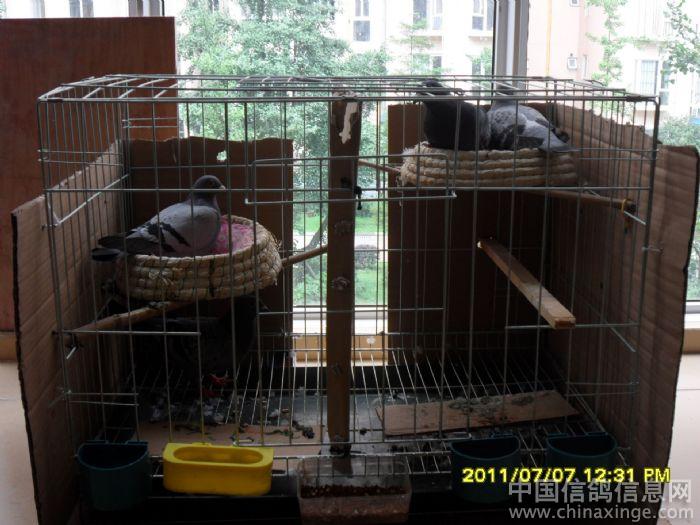 ʷ����С����(ͼ)