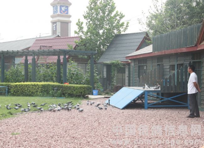 ���˱�������ҵ�Ŷ��׸�(ͼ)