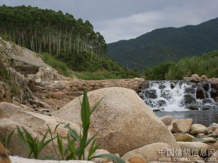 ��ѵ����(ͼ)