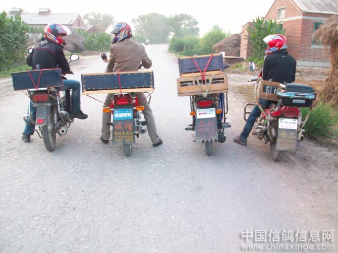 Ħ��ѵ��Ҳ���(ͼ)